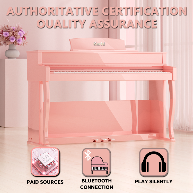 Best Price Electric Pianos Pia - đánh giá và giá Musical Instrument Keyboard Price