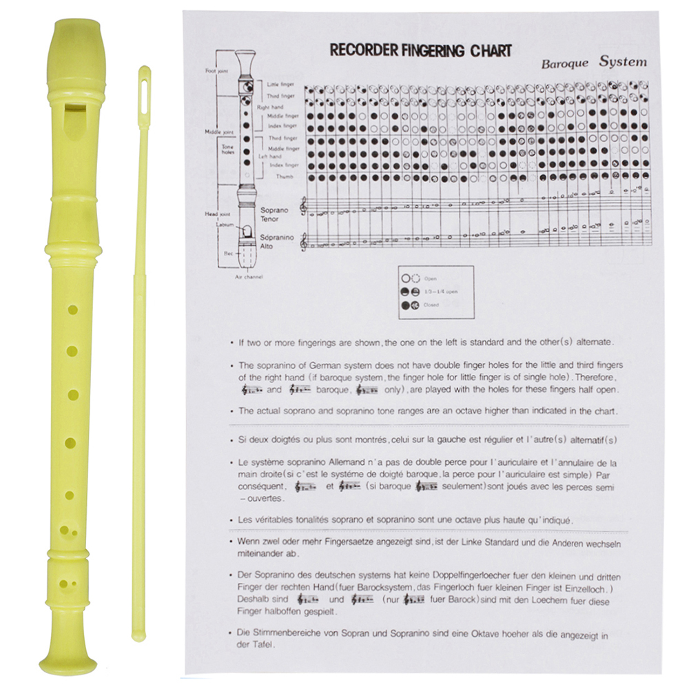IRIN 8 Hole Flute Clarinet ABS - đánh giá và giá Musical Instrument Recorder