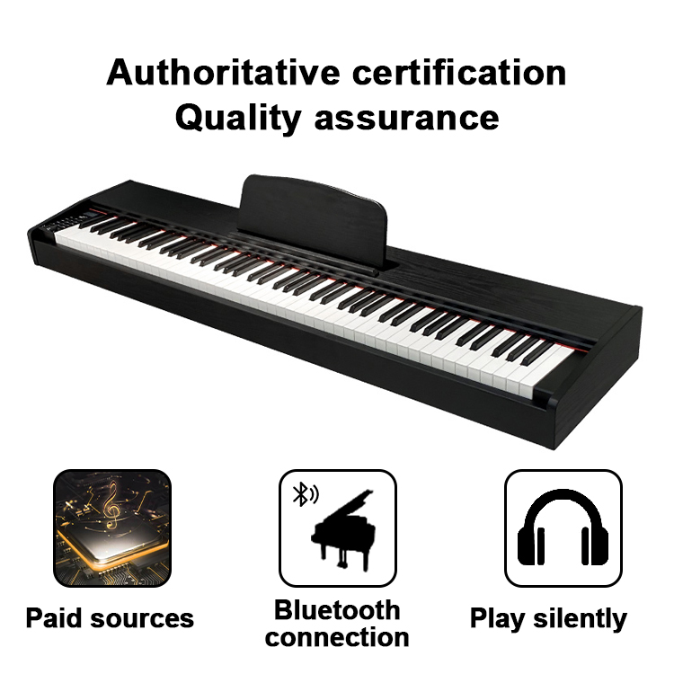 Professional Electronic Piano  - đánh giá và giá Musical Instrument Keyboard Price