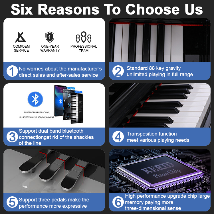 Professional Electronic Piano  - đánh giá và giá Musical Instrument Keyboard Price